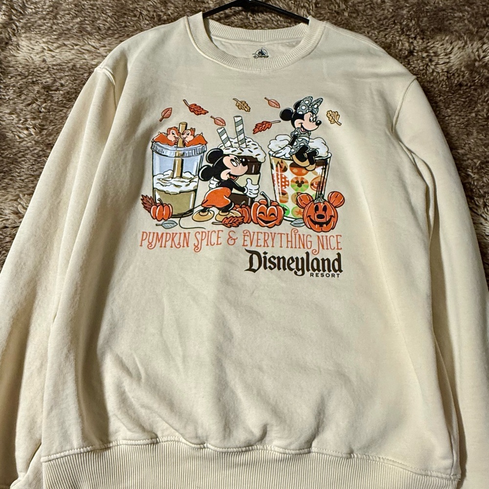 Disney Resort Pumpkin Spice & Everything Nice Sweater